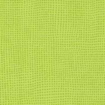 0515 Diversion Kiwi